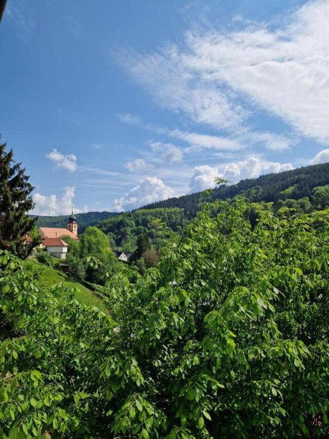 Ferienhaus Heinz Heiligkreuzsteinach Экстерьер фото